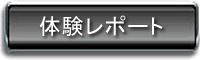 体験レポート